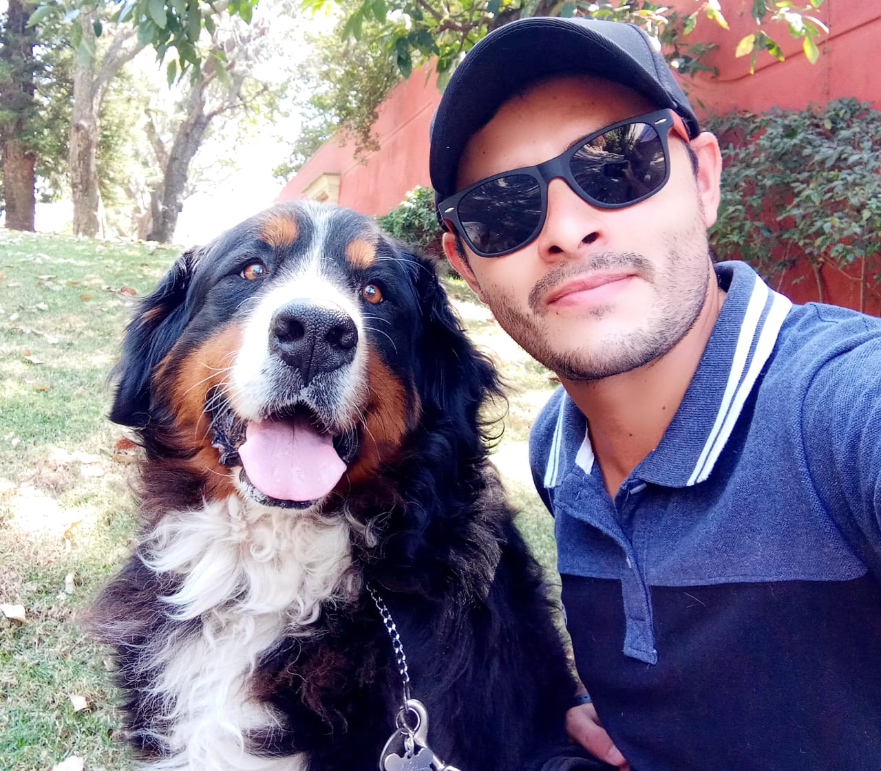 Entrenamiento profesional canino